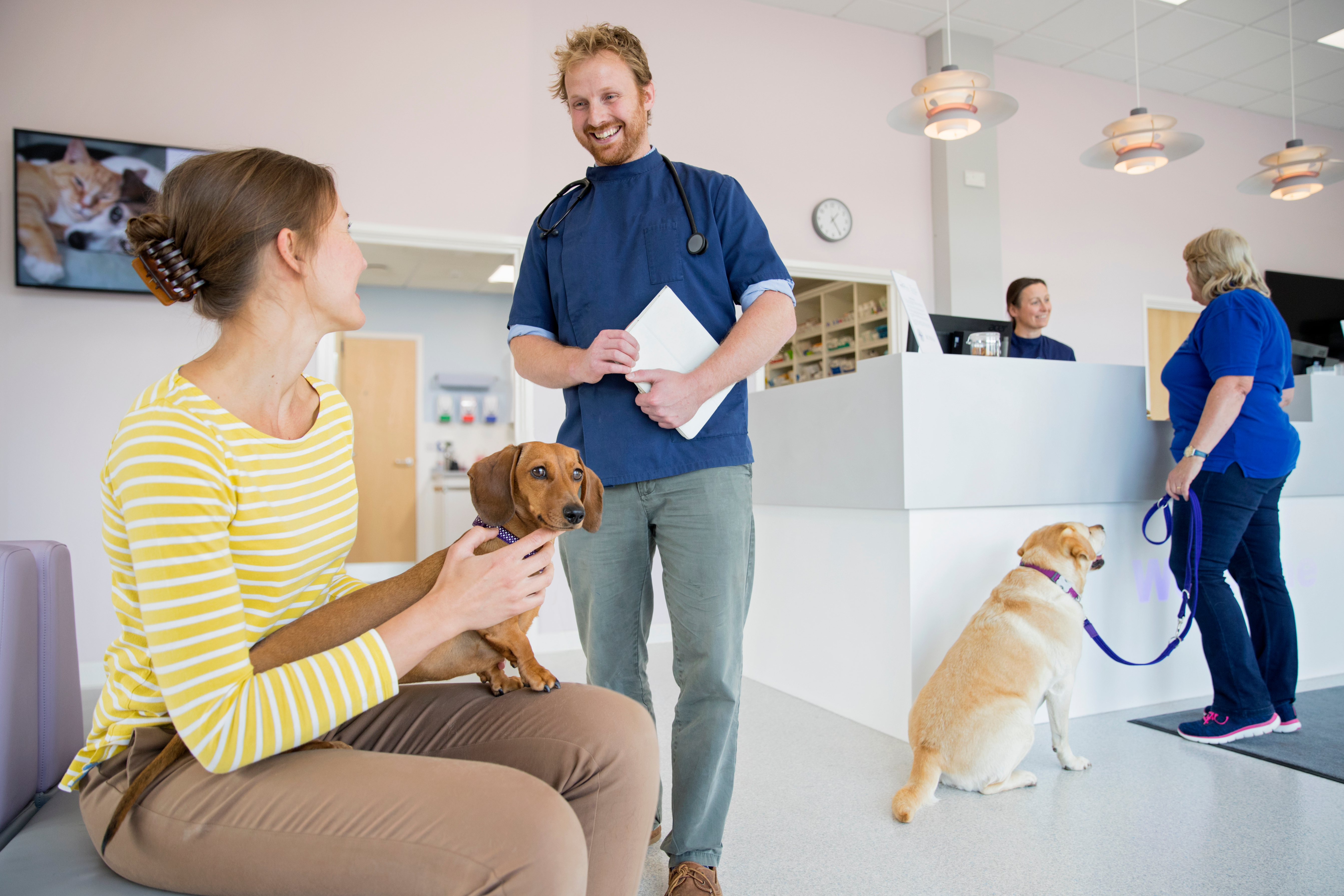 Better communication your with clients